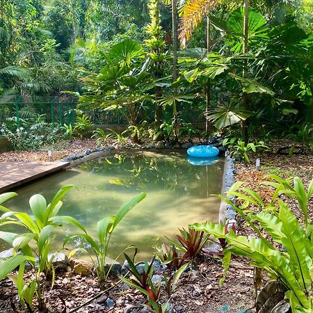 Вилла Daintree Siesta Diwan Экстерьер фото