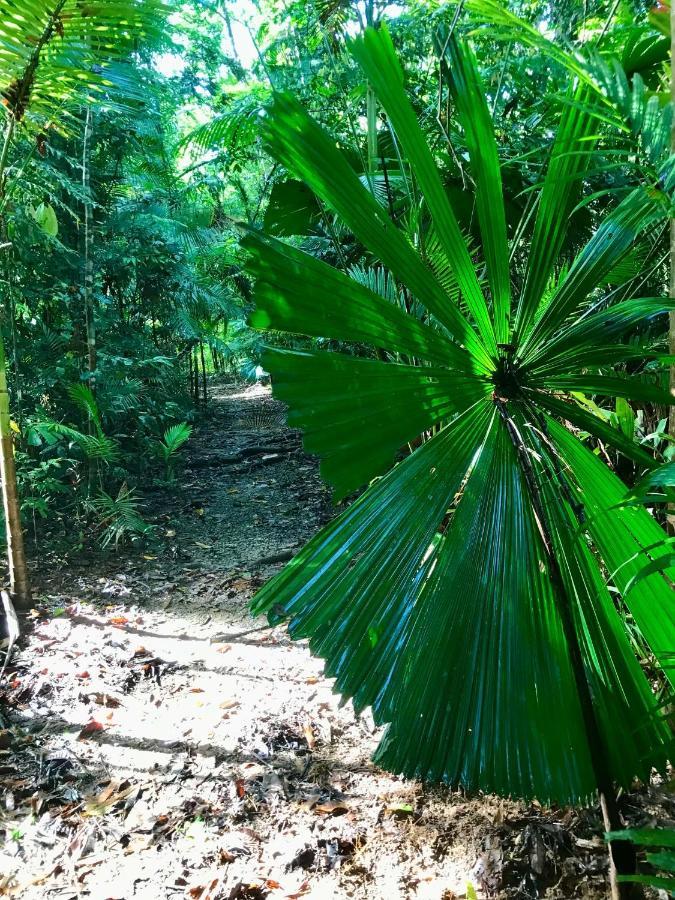 Вилла Daintree Siesta Diwan Экстерьер фото